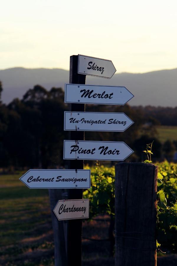 Blueberry Hill Vineyard Stay Rothbury Bagian luar foto