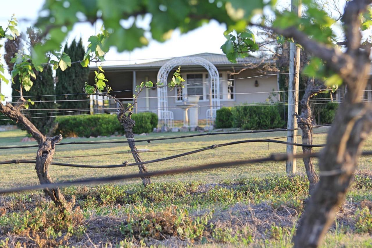 Blueberry Hill Vineyard Stay Rothbury Bagian luar foto