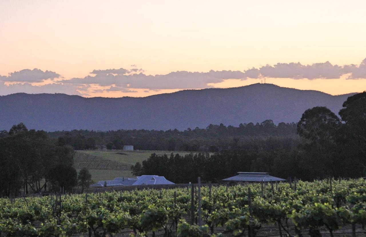 Blueberry Hill Vineyard Stay Rothbury Bagian luar foto